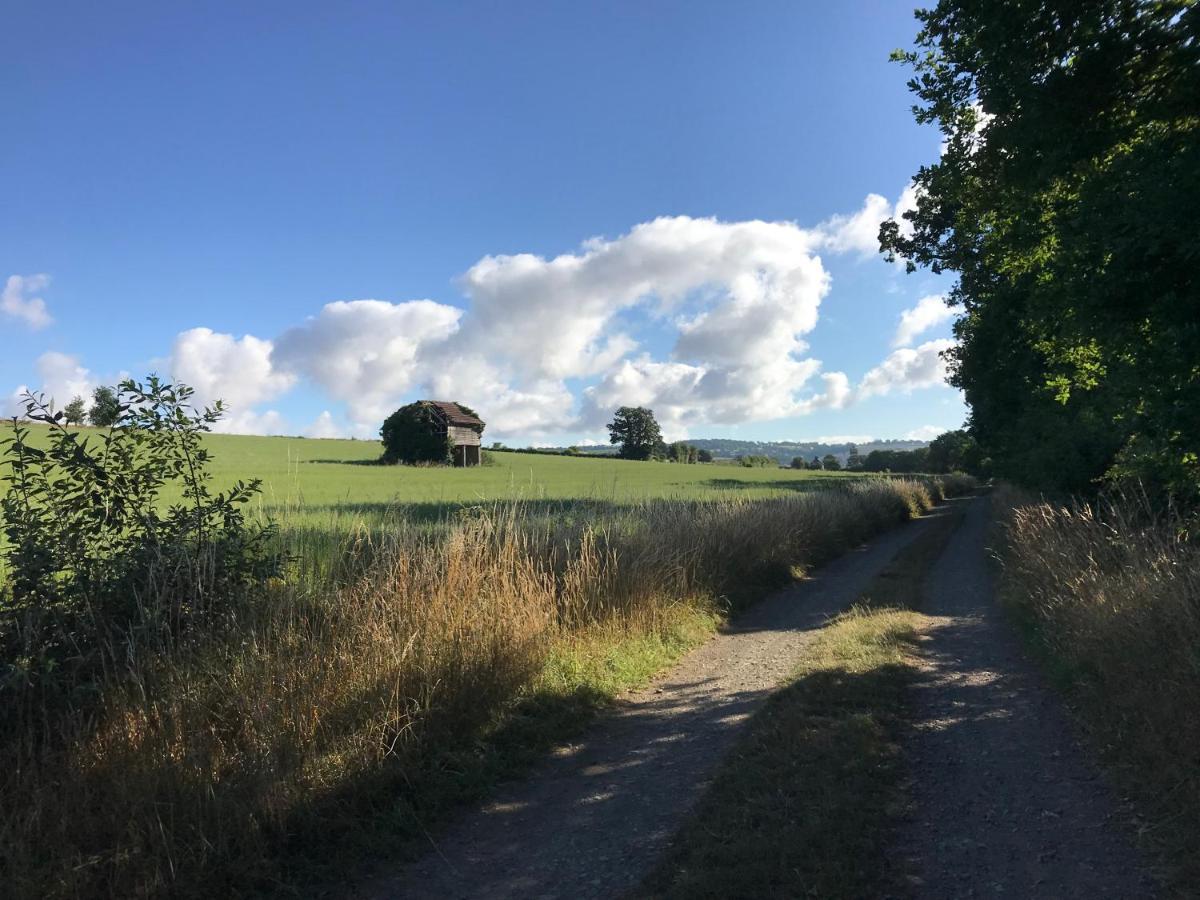 La Paix, Gite Bucolique En Normandie Conde-sur-Noireau Exterior photo